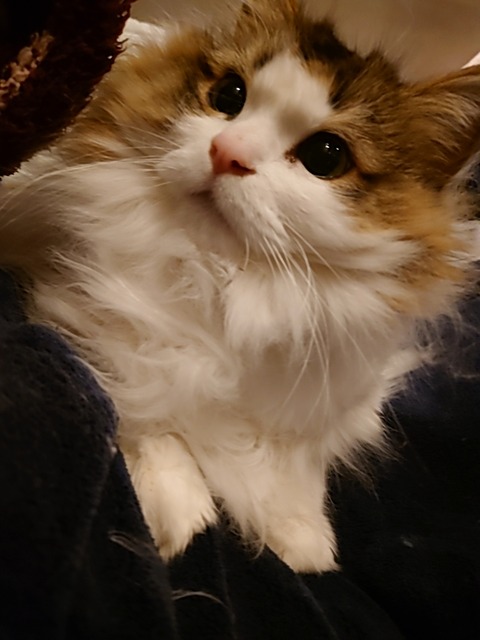 25-01-27-21-21-01-825_photo