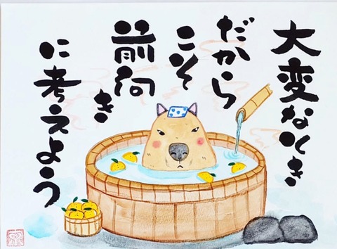 24-12-13-19-23-10-215_deco