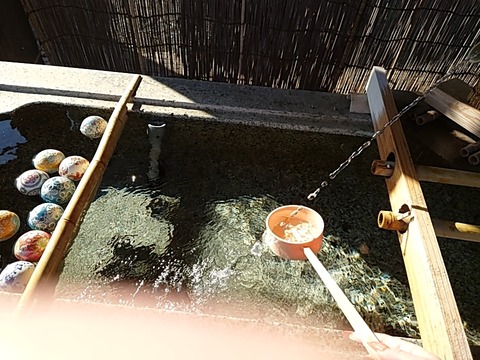 25-02-22-15-19-03-755_photo