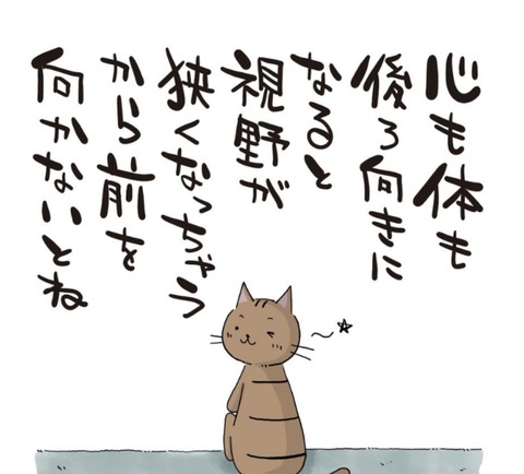 24-09-05-05-49-32-098_deco