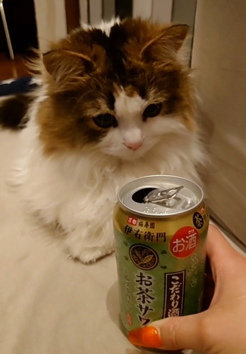 24-05-17-00-04-19-288_deco