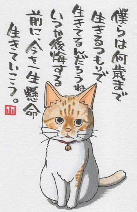 24-02-26-23-19-20-270_deco