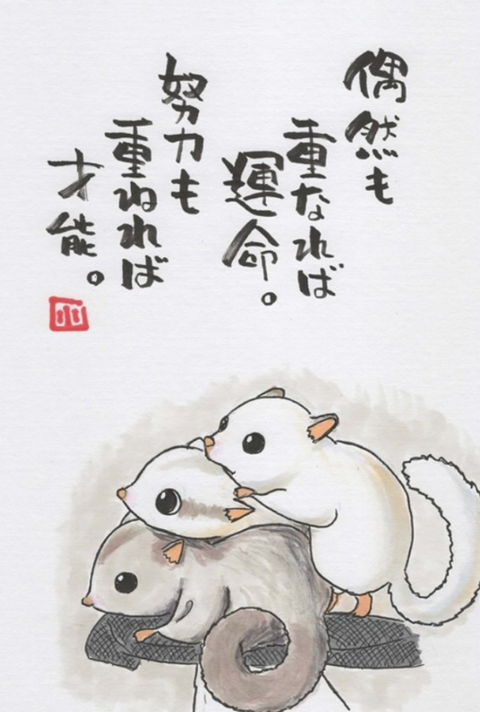 SNOW_20250509_203327_194