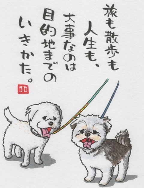 24-07-02-23-40-57-704_deco