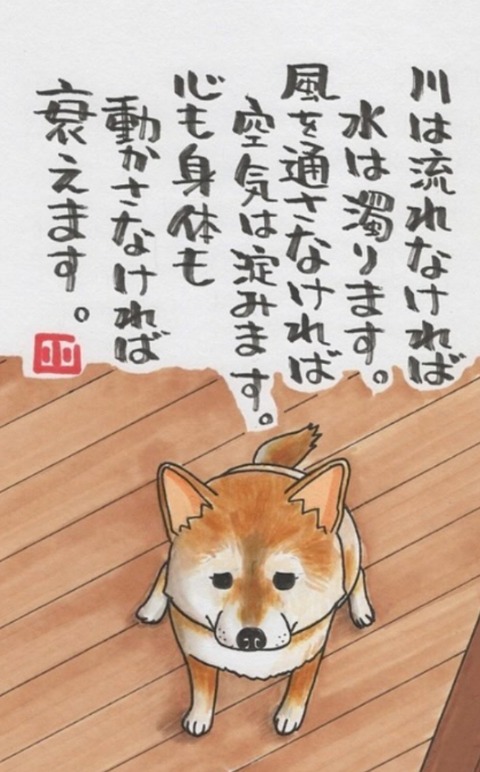 24-11-28-19-20-33-882_deco