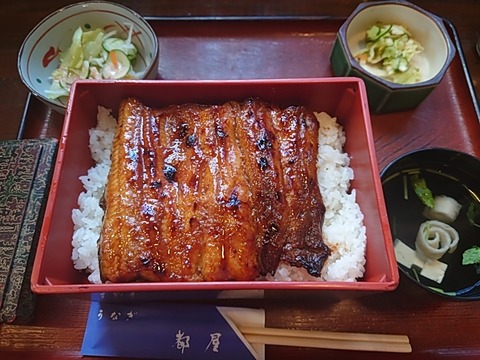 24-08-17-17-32-55-135_photo