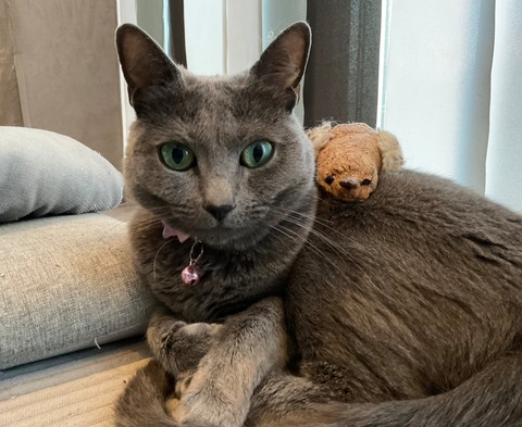 24-05-09-18-12-04-687_deco