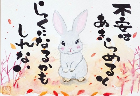 24-11-02-22-29-06-202_deco