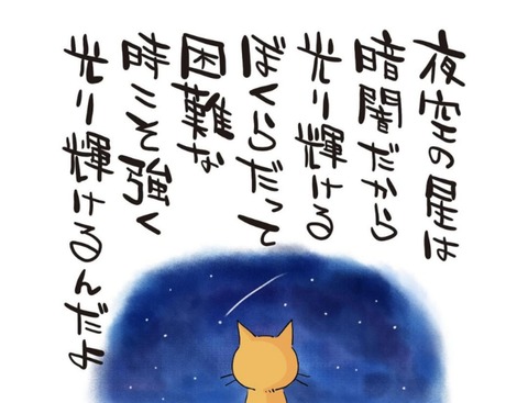 24-11-26-03-21-22-121_deco