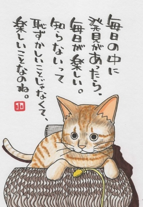 24-05-31-03-57-59-383_deco