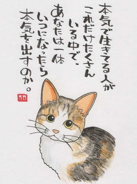 25-02-01-14-11-23-579_deco