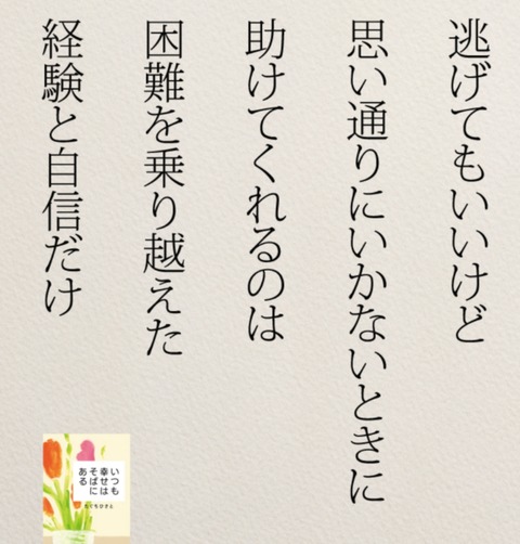 24-08-09-00-15-07-952_deco