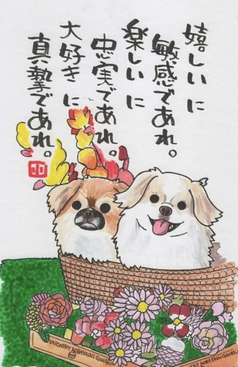 24-06-25-12-07-53-453_deco