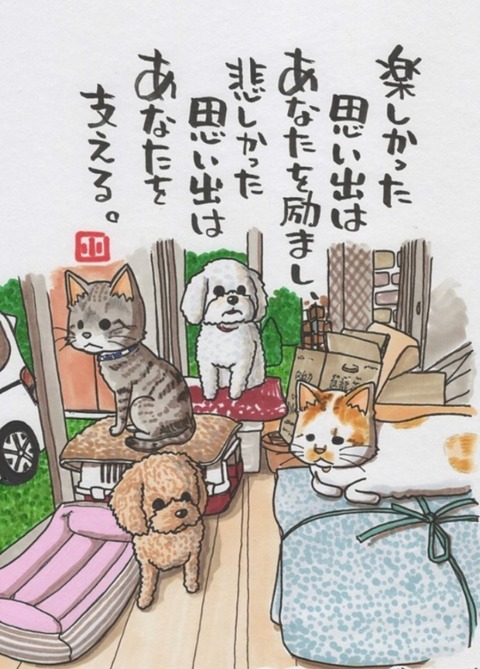 24-06-26-21-06-18-404_deco