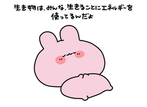 24-09-24-08-38-58-013_deco