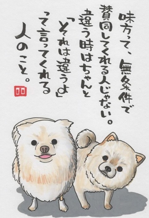 24-05-07-21-16-28-255_deco