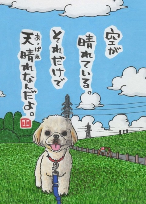 24-04-21-23-35-52-795_deco