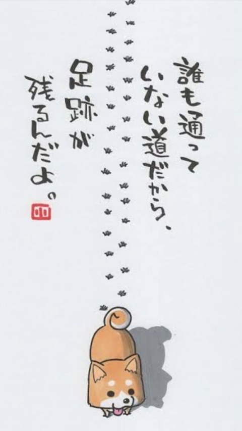 24-01-26-03-09-32-485_deco