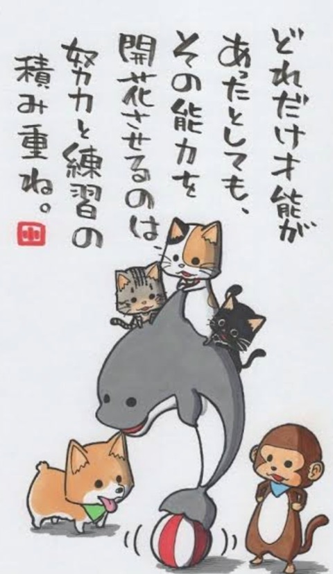 24-02-01-10-18-56-403_deco