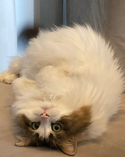 IMG_20240509_194055_881