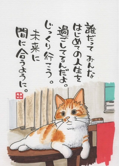 25-03-25-23-14-19-676_deco