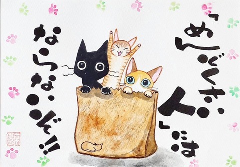 24-10-27-23-22-32-121_deco