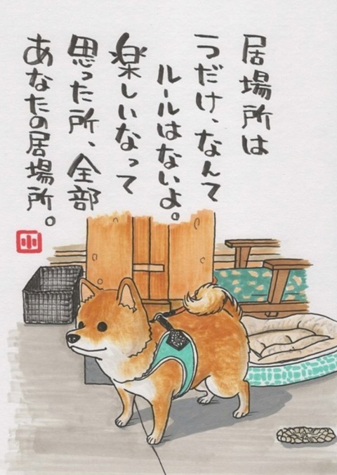 24-11-01-19-45-50-856_deco