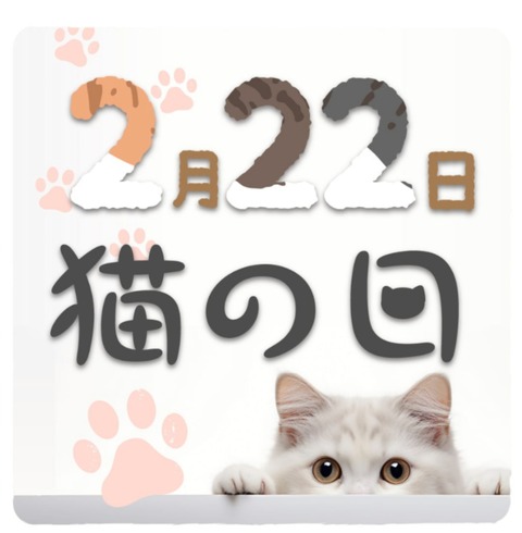 25-02-12-04-17-09-852_deco