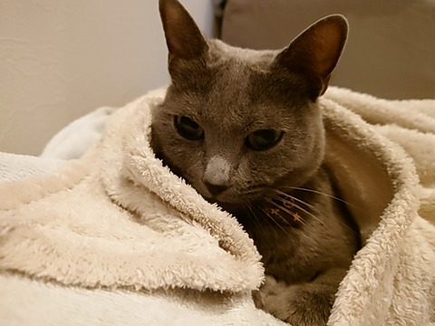 24-11-06-21-11-01-997_photo