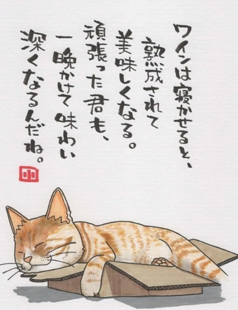 24-10-23-00-24-41-829_deco