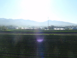 雨上がり