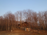 寂しい