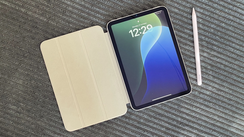 Apple iPad Mini