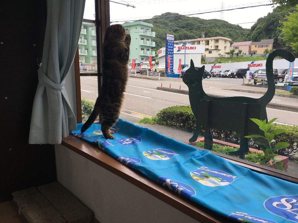 イメージ 2