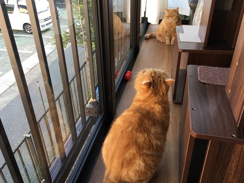 イメージ 4