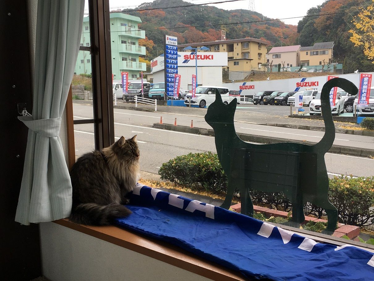 イメージ 1