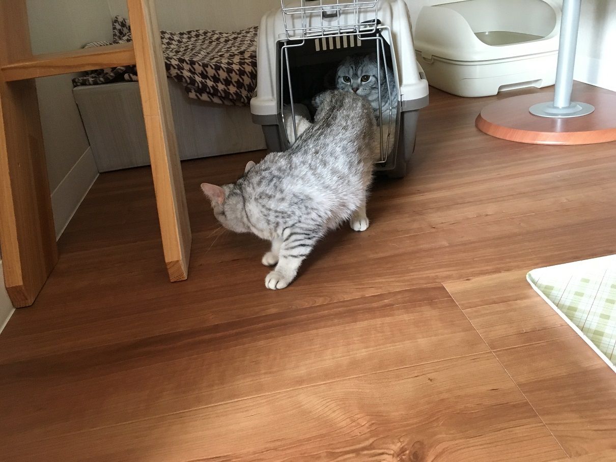 イメージ 5