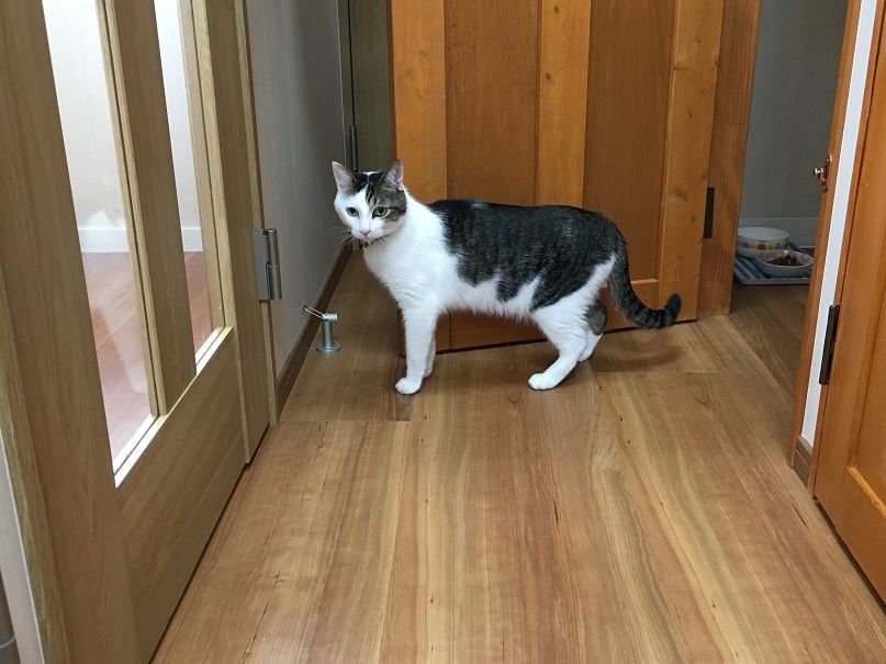 イメージ 4