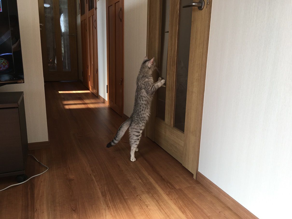 イメージ 4