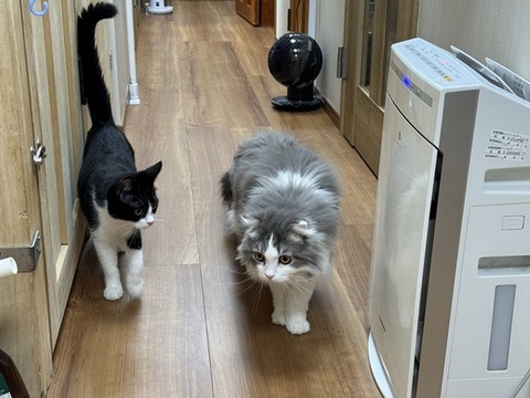 IMG_7514