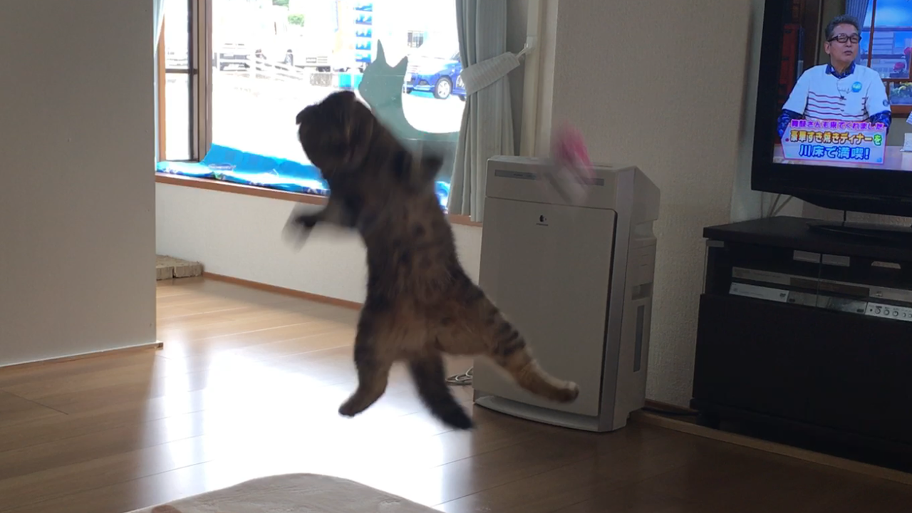 イメージ 5