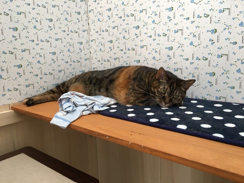 イメージ 1