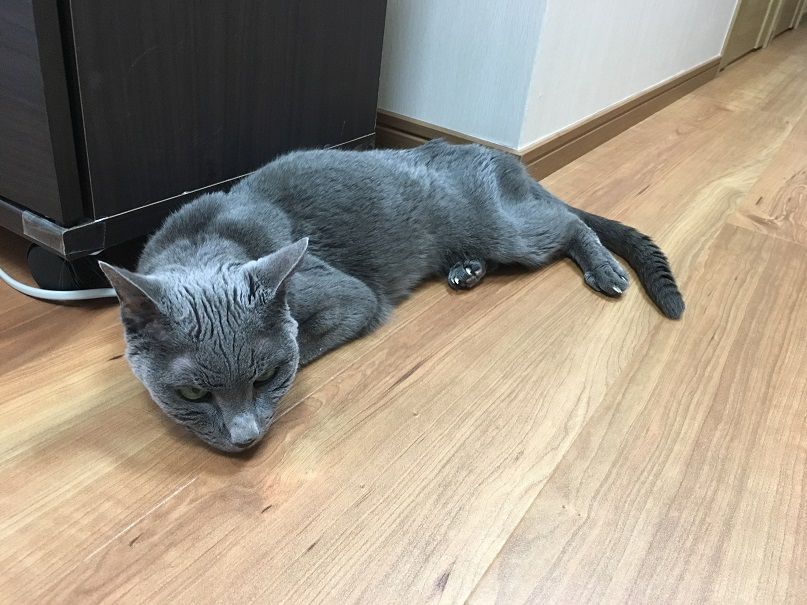 イメージ 1