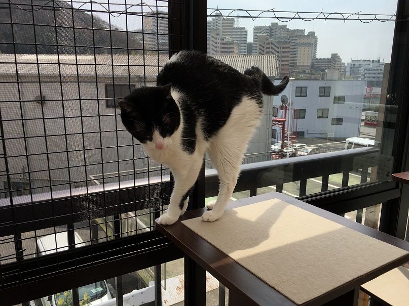 イメージ 4