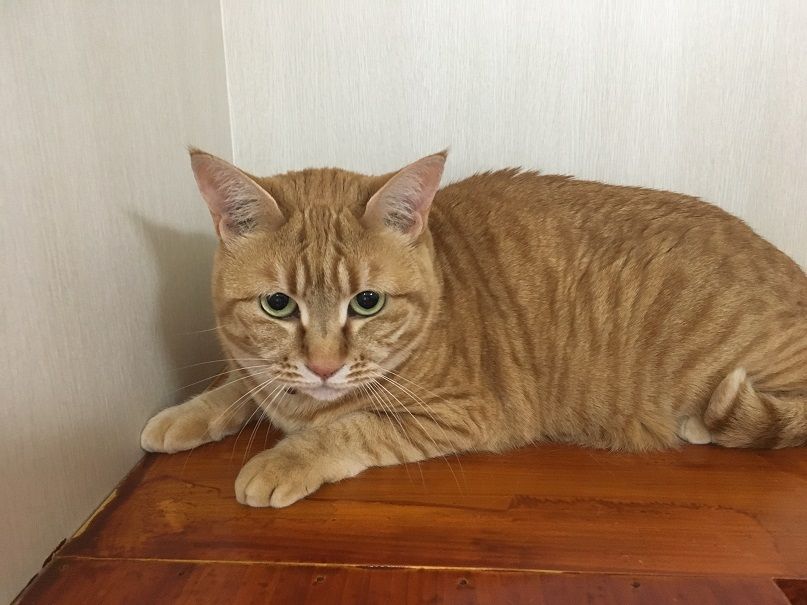 イメージ 3