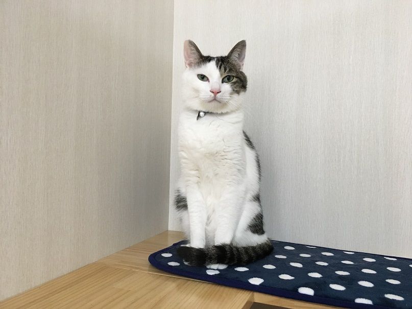 イメージ 2