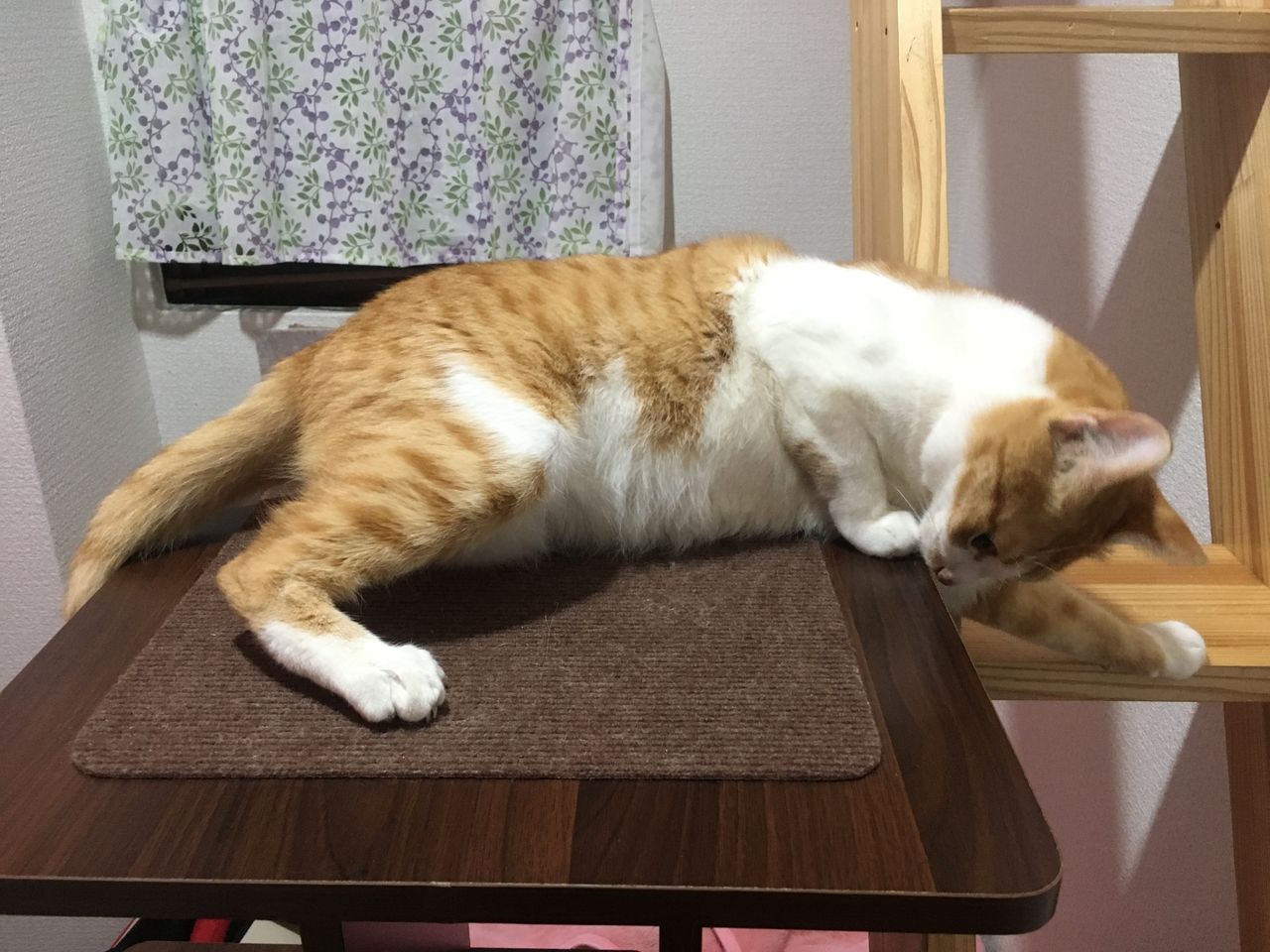 イメージ 4