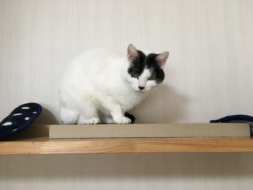 イメージ 2