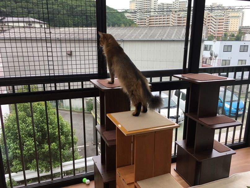 イメージ 5