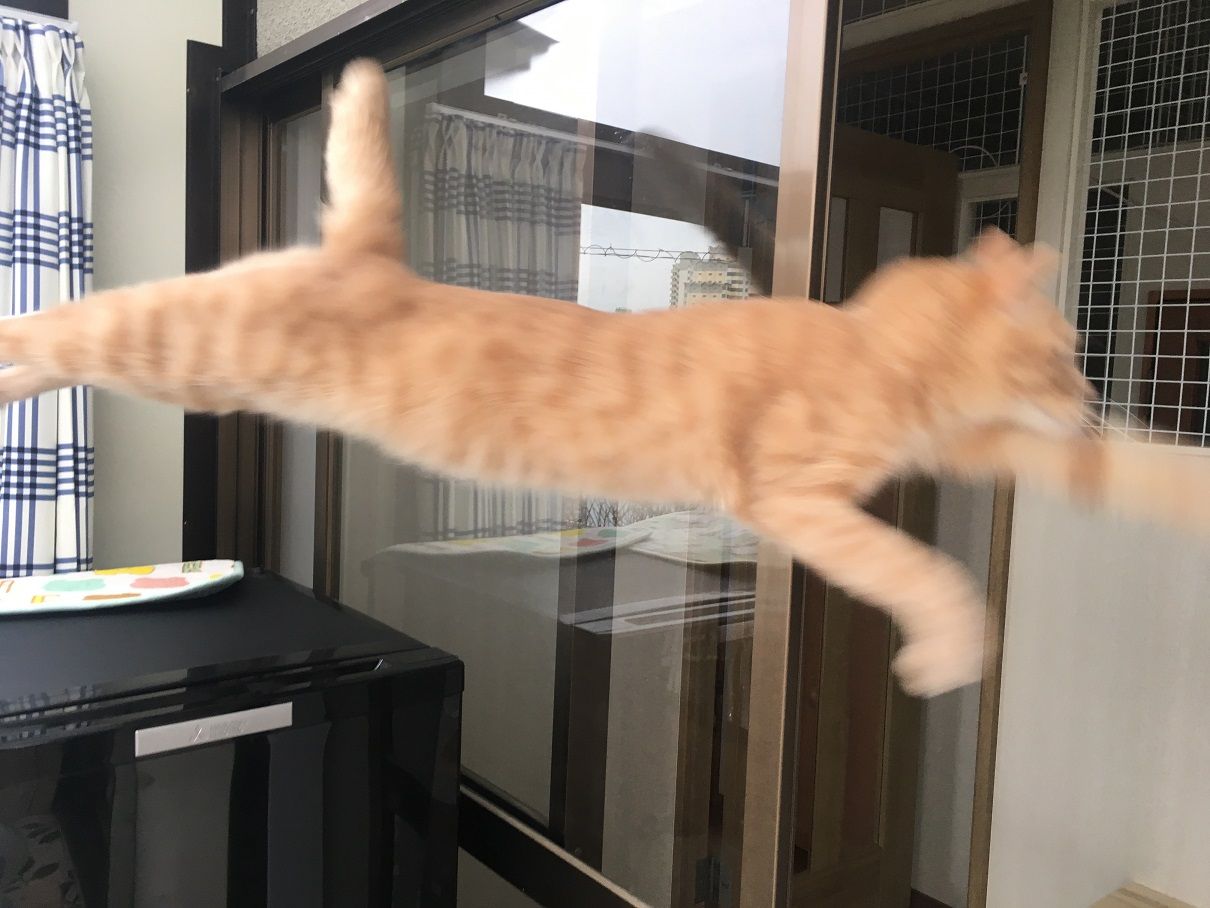 イメージ 3